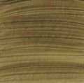 Studio Akrilik Boya 64 Raw Umber 100 ml
