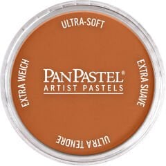 PanPastel Ultra Soft Artist Pastel 740.5 Burnt Sıenna