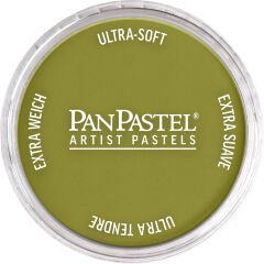 PanPastel Ultra Soft Artist Pastel 680.3 Brıght Ylw Grn Shade