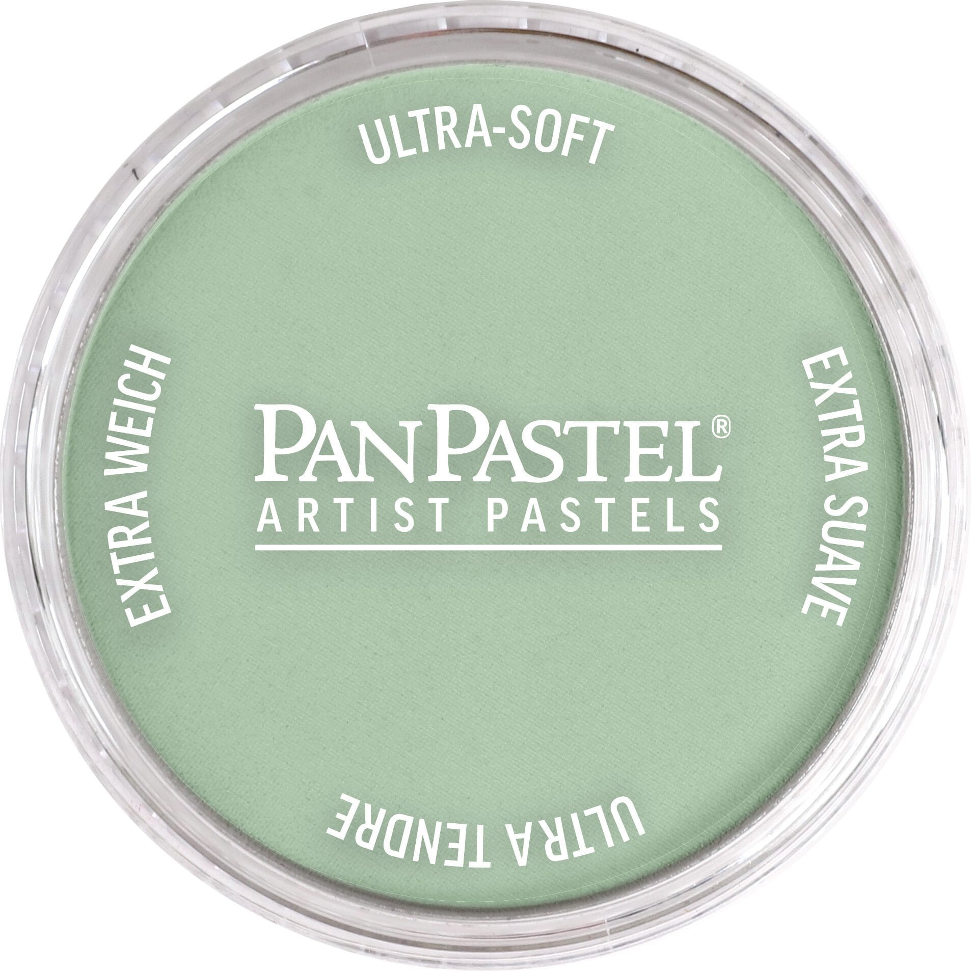 PanPastel Ultra Soft Artist Pastel 660.8 Chrom. Ox. Grn Tınt