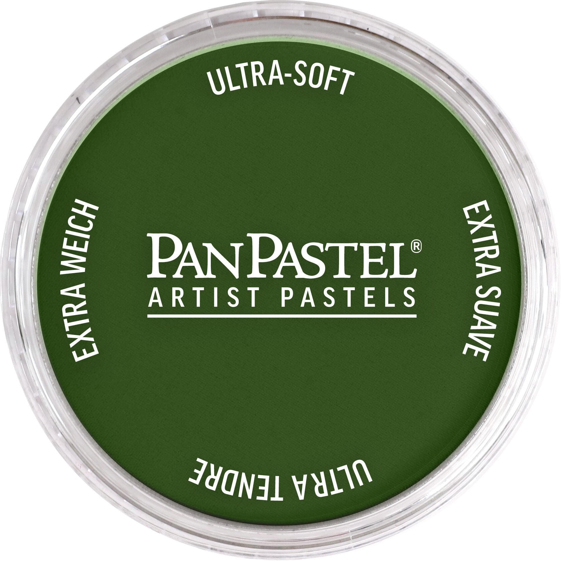 PanPastel Ultra Soft Artist Pastel 660.5 Chromıum Oxıde Green