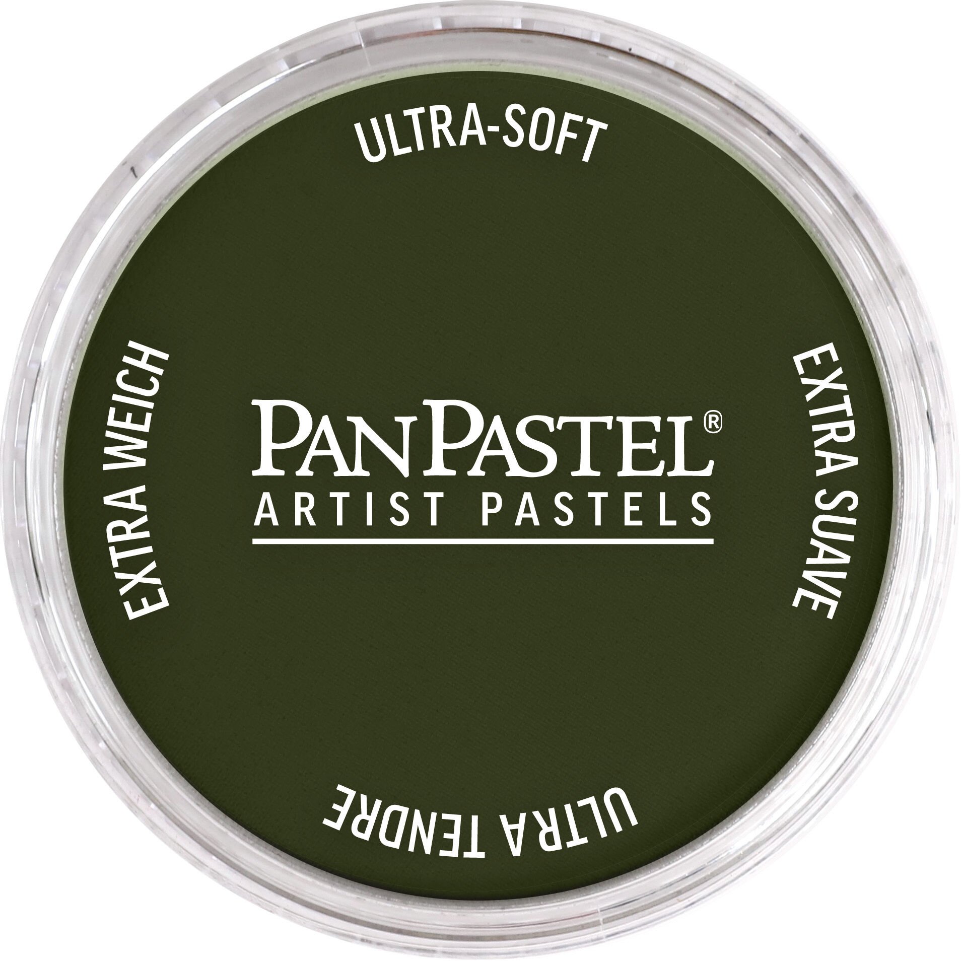 PanPastel Ultra Soft Artist Pastel 660.3 Chrom. Ox. Grn Shade