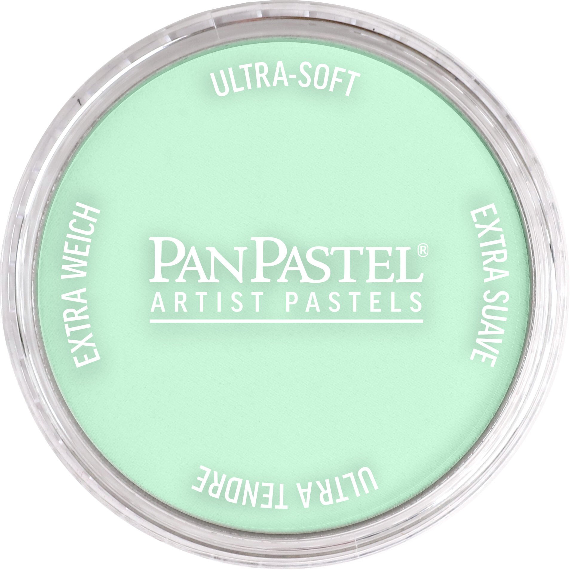 PanPastel Ultra Soft Artist Pastel 640.8 Permanent Green Tınt