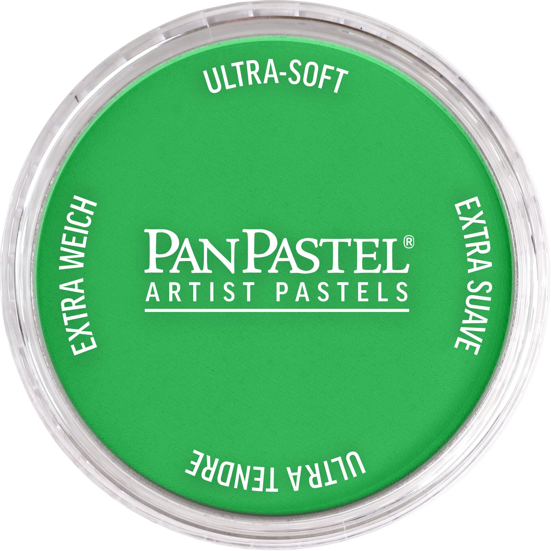 PanPastel Ultra Soft Artist Pastel 640.5 Permanent Green