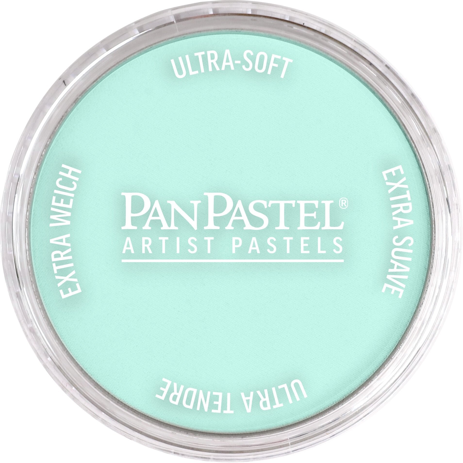 PanPastel Ultra Soft Artist Pastel 620.8 Phthalo Green Tınt