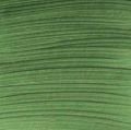 Studio Akrilik Boya 44 Hooker`s Green 500 ml