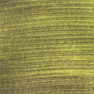 Studio Akrilik Boya 359 Iridescent Green Yellow 500 ml