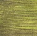 Studio Akrilik Boya 359 Iridescent Green Yellow 500 ml