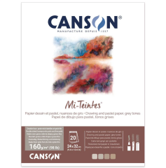Canson Mi-Teintes Pastel Defteri 20 Yaprak 160G Grey Toned