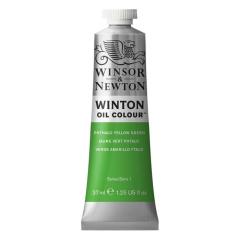 Winton Oil Colour Phthalo Yellow Green 403